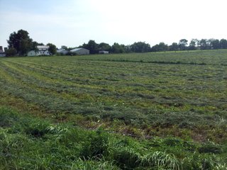 Allen County, Indiana Farmstead - FARMSTEAD AUCTION - 41+/- ACRES IN 4 TRACTS IN ALLEN COUNTY, INDIANA